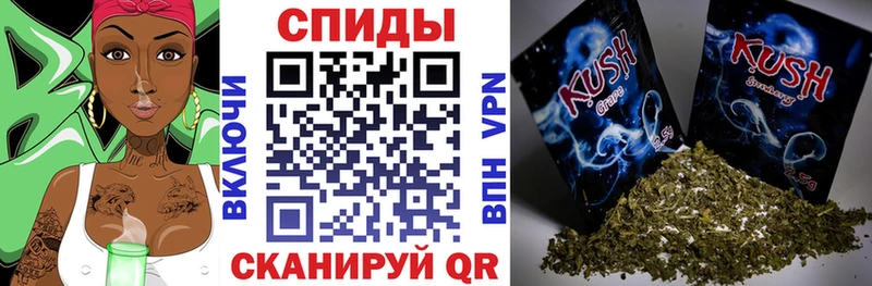 shop телеграм  цены   Щучье  Бутират бутандиол 